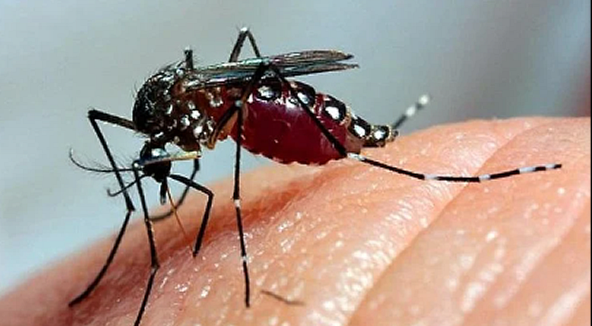 Município confirma primeira morte por dengue em 2025