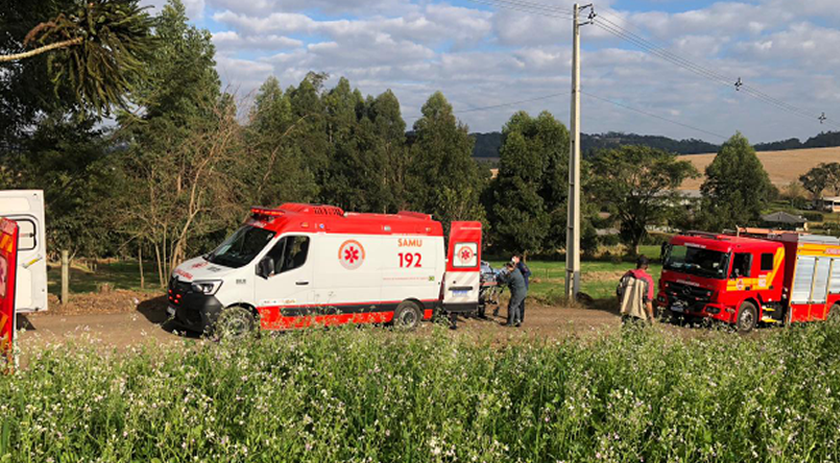 Homem é atingido na cabeça durante trabalho com corte de árvores no interior