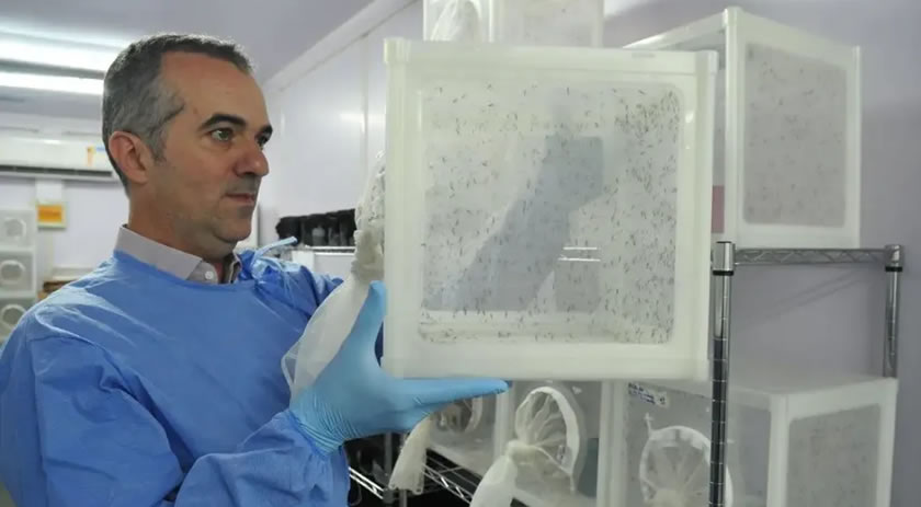 Brasileiro criador do “Aedes” que bloqueia dengue é eleito pela Nature