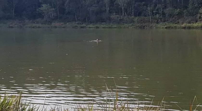 Corpo de homem desaparecido em SC é encontrado com pipa em açude Ele estava desaparecido desde a tarde de domingo (24)
