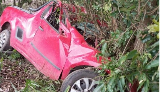 Idoso morre após carro atingir árvore em rodovia de Santa Catarina