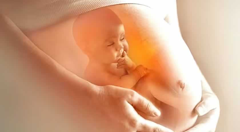 Cirurgia feita dentro do útero da mãe salva vida de bebê com tumor no pulmão