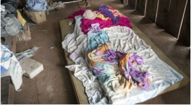 Brasil resgatou mais de 3 mil trabalhadores escravizados em 2023