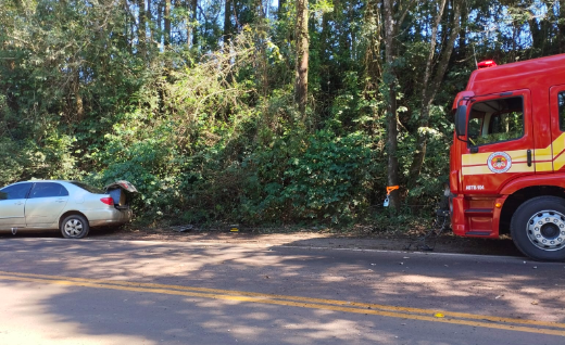 Automóvel ocupado por cinco pessoas sai da pista e colide contra árvore