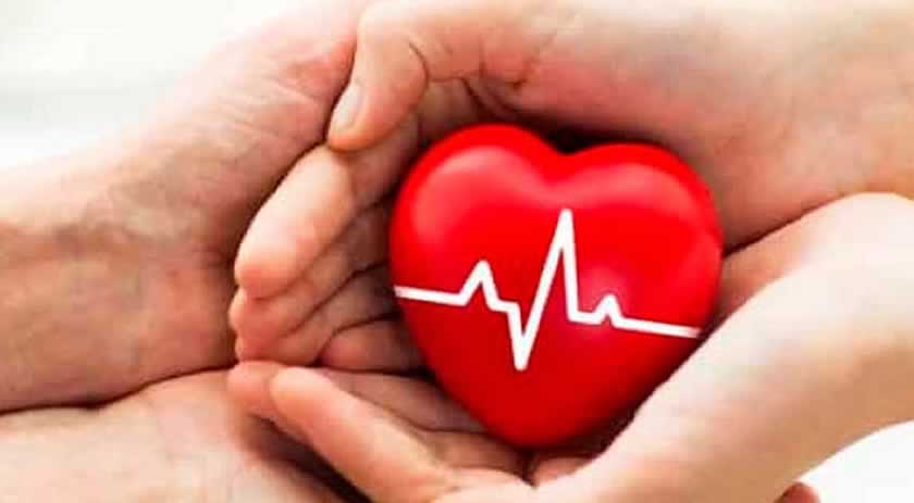 SUS aplicará vacina atualizada contra a Covid-19 a partir de 27 de fevereiro