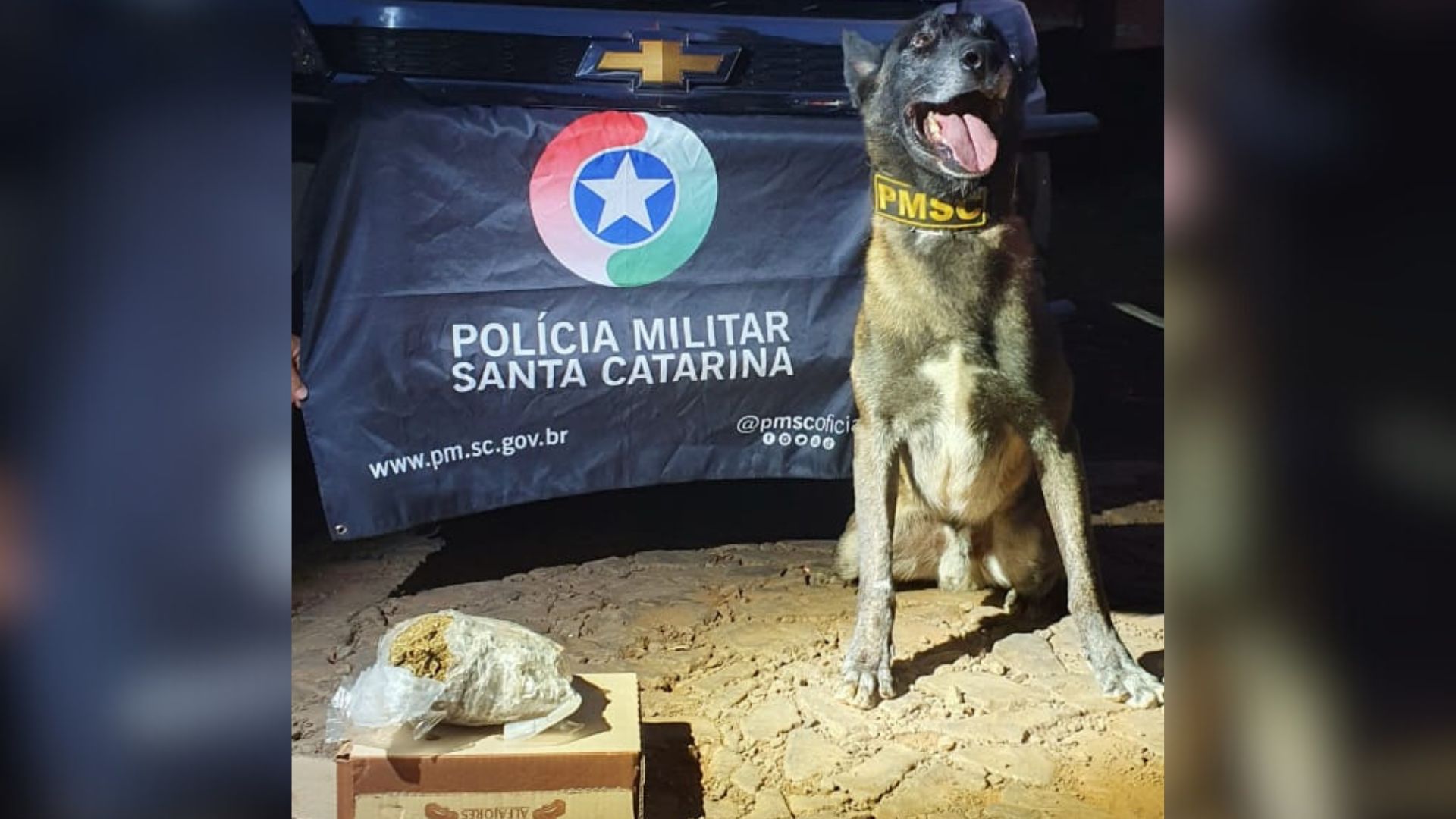 Casal é preso com drogas durante abordagem da Polícia Militar