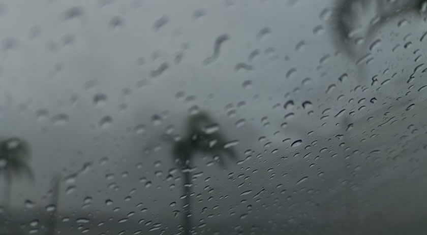 Santa Catarina registra primeira ocorrência de chuva preta no Oeste do estado