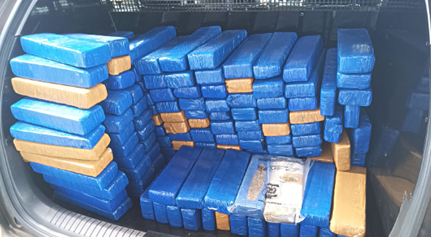 300 kg de drogas apreendidas na região de Pinhalzinho e Serra Alta são incineradas pela Polícia Civil