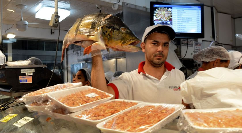 Peixes em seis estados da Amazônia têm contaminação por mercúrio