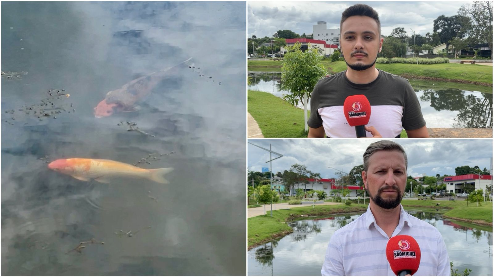 Criminosos tentam furtar peixes do lago da Praça La Salle, em São Miguel do Oeste