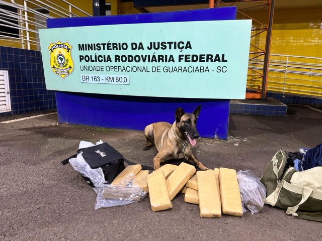 Polícia Rodoviária Federal apreende 11,830kg de maconha em ônibus