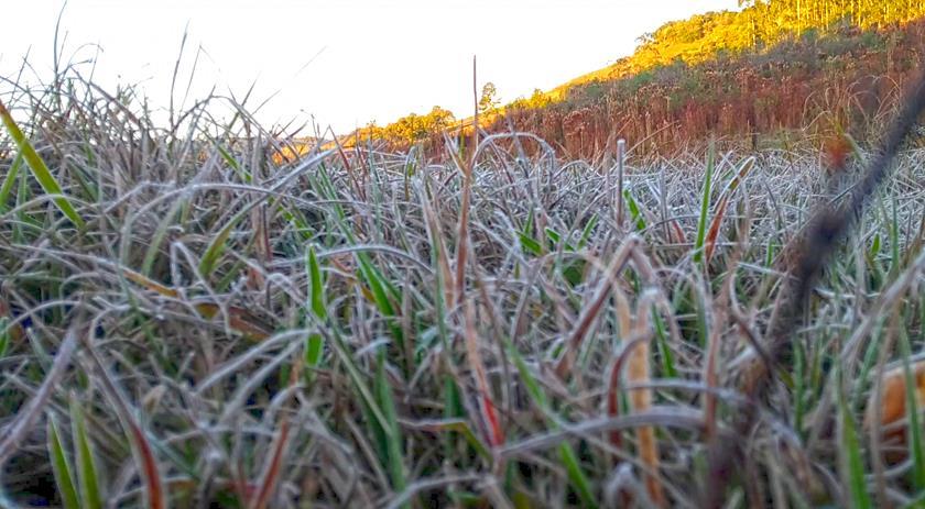 Quarta-feira segue fria, mas com o dia ensolarado no Oeste
