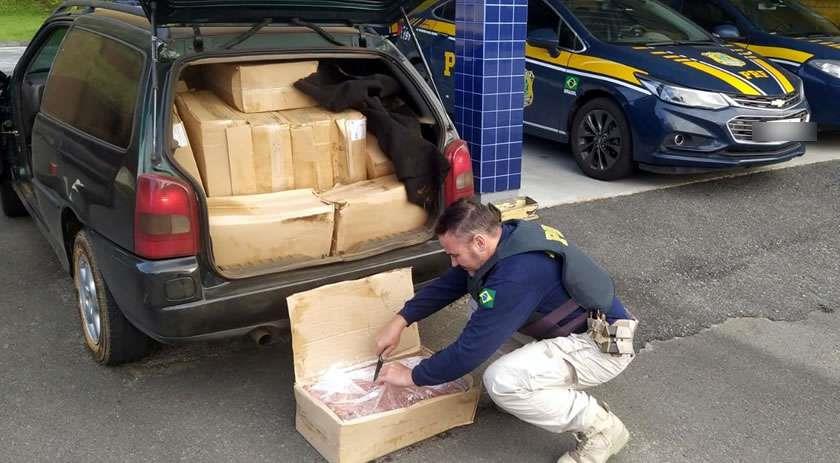 Camarão contrabandeado da Argentina é apreendido na BR-280