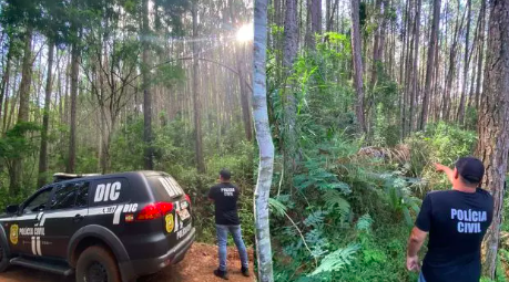 Idoso que estava desaparecido é encontrado morto em plantação de pinus no Oeste