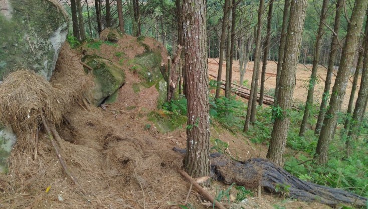 Corpo em estado de decomposição é encontrado no Meio-Oeste