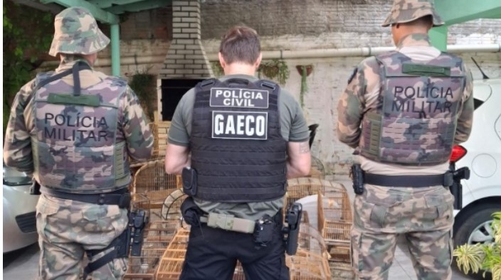 Operação é deflagrada contra rede de tráfico de animais em SC e outros estados