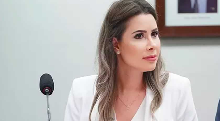 Deputada de SC quer que estados tenham autonomia para decidir sobre armas de fogo