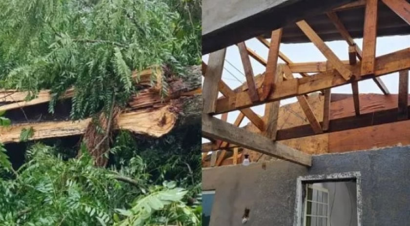 Forte chuva causa destelhamentos, queda de árvores e falta de luz no Oeste de SC