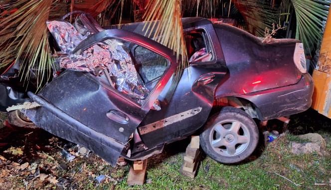 Motorista morre ao sair da pista e colidir veículo em árvore no Norte de SC