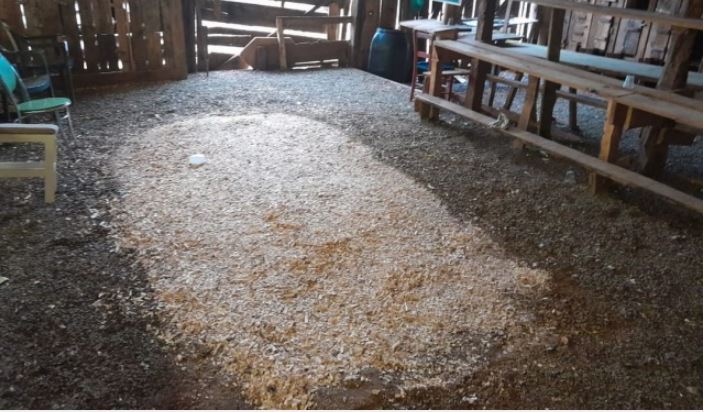 Polícia fecha rinha de galos e resgata animais no Oeste de SC; um homem foi preso