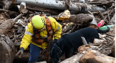 Corpo de Bombeiros de SC conclui missão no RS e salva mais de 3 mil vidas