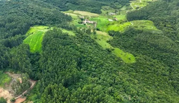 SC divulga abertura de inscrição no programa Mais Verde