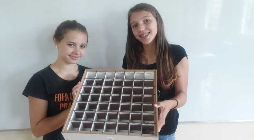 Escola Municipal tem trabalho científico aprovado na Etapa Sul Brasileira do Projeto Verde é Vida