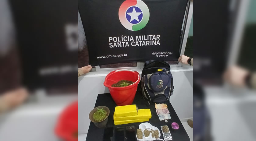 Operação policial apreende droga na BR 163
