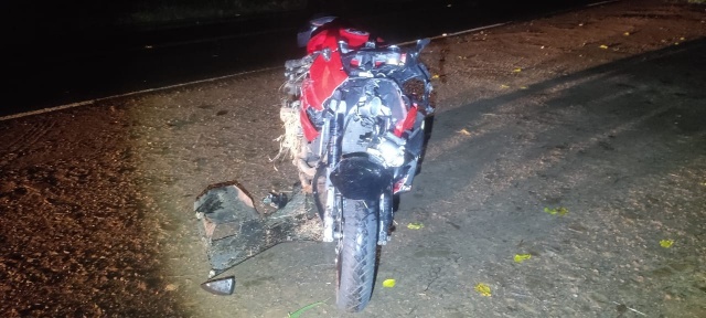 Motociclista fica em estado grave após atropelar bovino em rodovia no Oeste