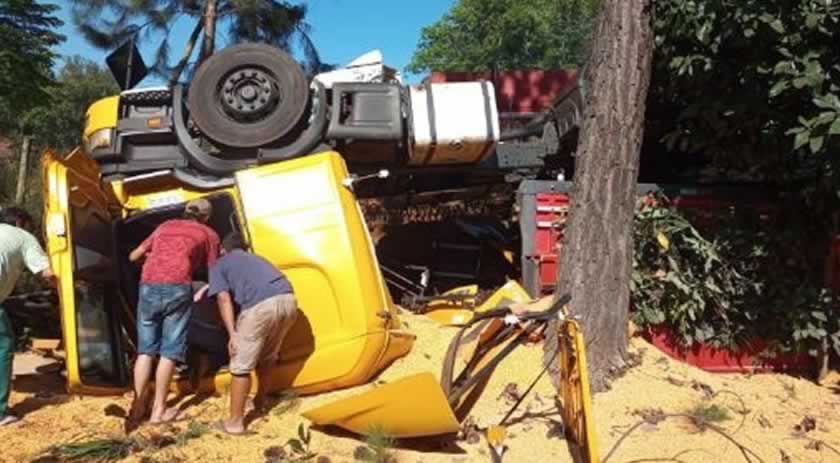 Caminhão do Paraguai colide em árvore na curva da morte em Romelândia