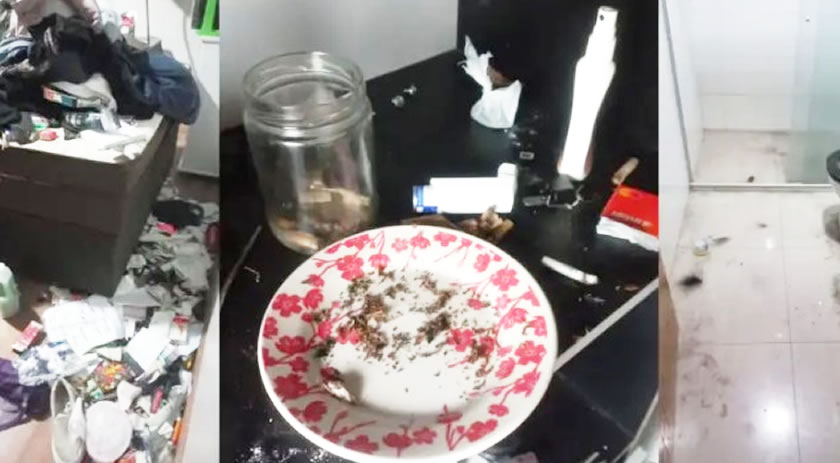 Criança de 3 anos é resgatada após agressões em ambiente de uso de drogas; dois homens são presos