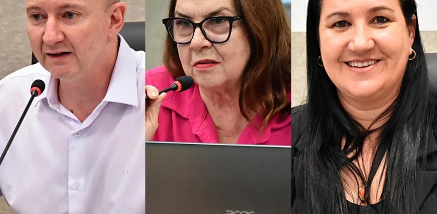 Vereadores de SMO defendem produtores e pedem veto ao leite em pó importado