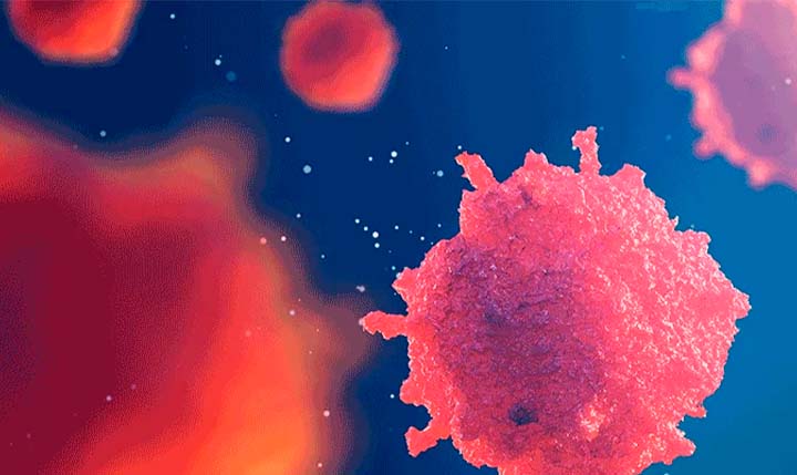 Cientistas criam bactéria com sensor capaz de detectar câncer