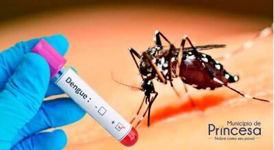 Confirmado primeiro caso de dengue