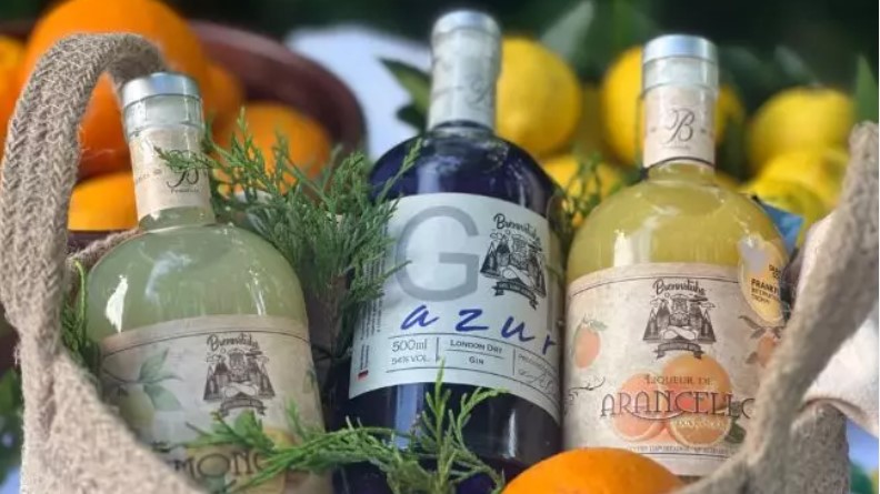 Gins e licores produzidos em SC conquistam cinco prêmios em Londres