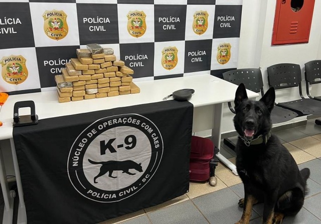 Mais de 23 kg de maconha são apreendidos em bagagem de passageiro em Xanxerê