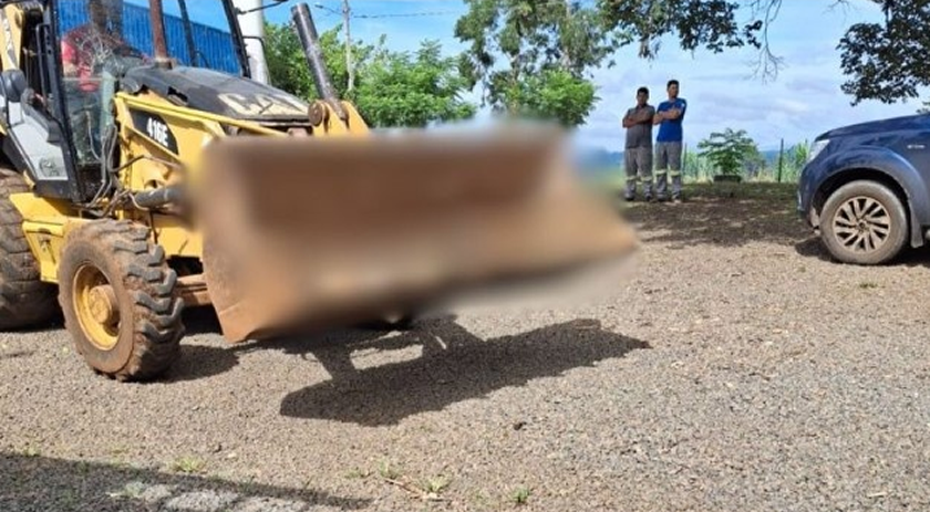 Vários cães são encontrados mortos por envenenamento no Oeste de SC