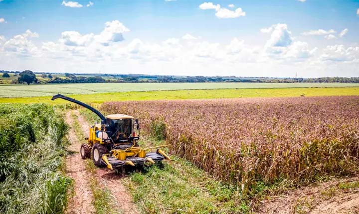 Safra de 2022 atingiu recorde de 263,155 milhões de toneladas, mostra IBGE