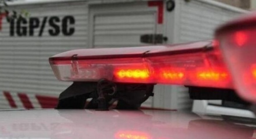Empresário morre atingido por árvore durante trabalho