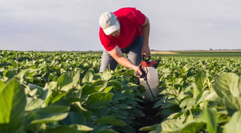 Extremo-Oeste recebe cursos gratuitos do Senar/SC com foco em inovação e produtividade rural