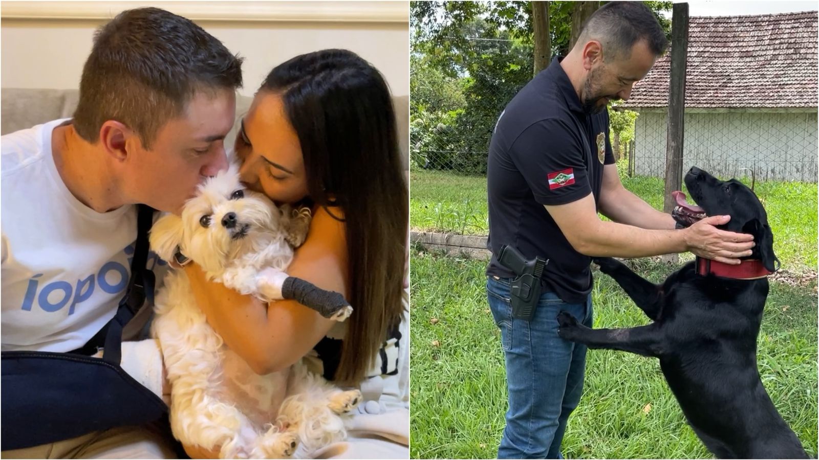 UNIDAS PELA VIDA: Cão de faro da polícia doa sangue e salva cachorrinha intoxicada