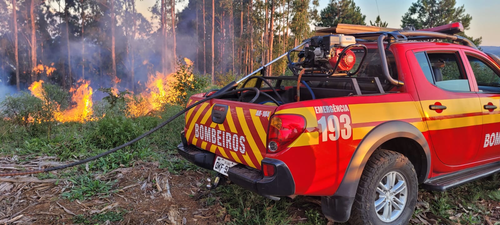 Bombeiros utilizam 20 mil litros de água para combater incêndio em área de reflorestamento