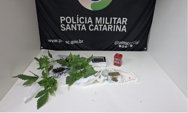 Polícia encontra pés de maconha em residência