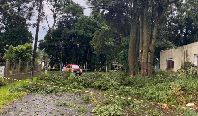 Ventos fortes derrubam árvores e interditam trânsito na BR-282