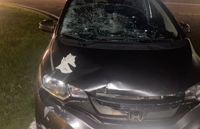 Pedestre é atropelado por automóvel