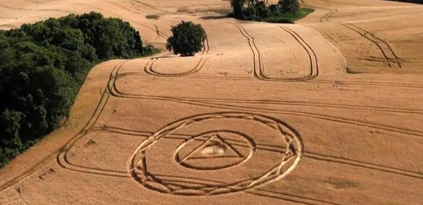 Primeiro agroglifo de 2025 aparece em plantação de trigo no Oeste