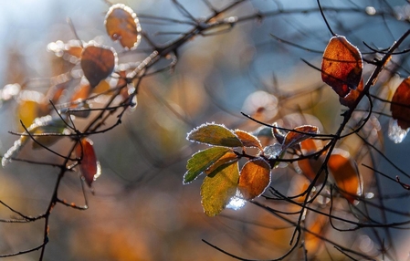 Massa de ar frio derruba temperaturas e favorece geada em SC durante a semana