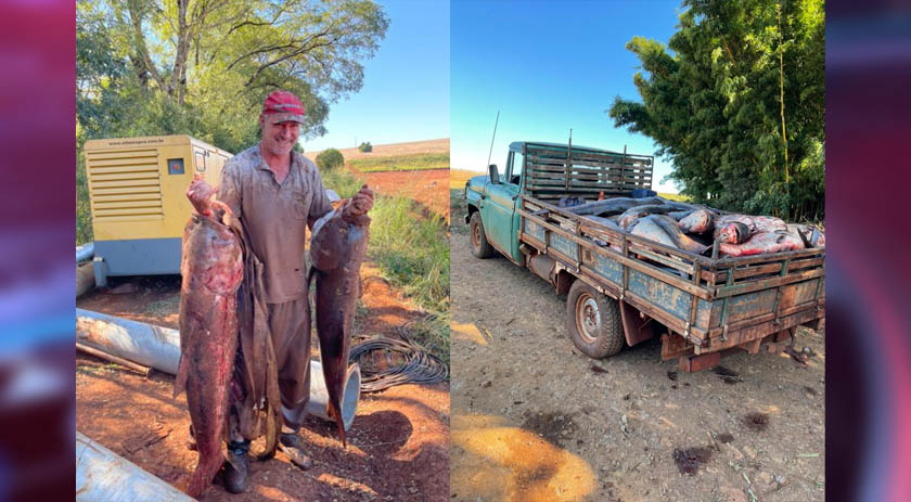 Agricultor encontra peixes ao esvaziar barragem: 'Todos eram de 10 kg para cima'