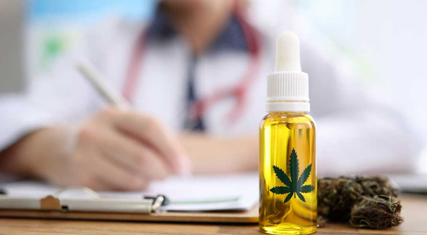 Distribuição gratuita de canabidiol pelo SUS tem orçamento de R$ 3 milhões em SC