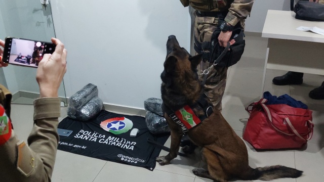 Jovem de 21 anos é presa com mais de 5kg de maconha na rodoviária